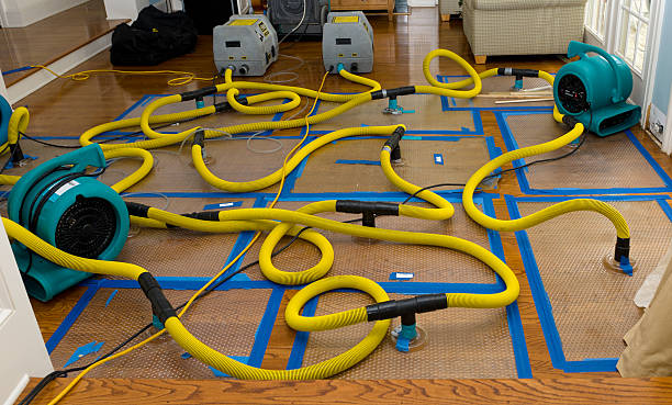 Professional Crawl Space Water Removal technician working in Byron, CA